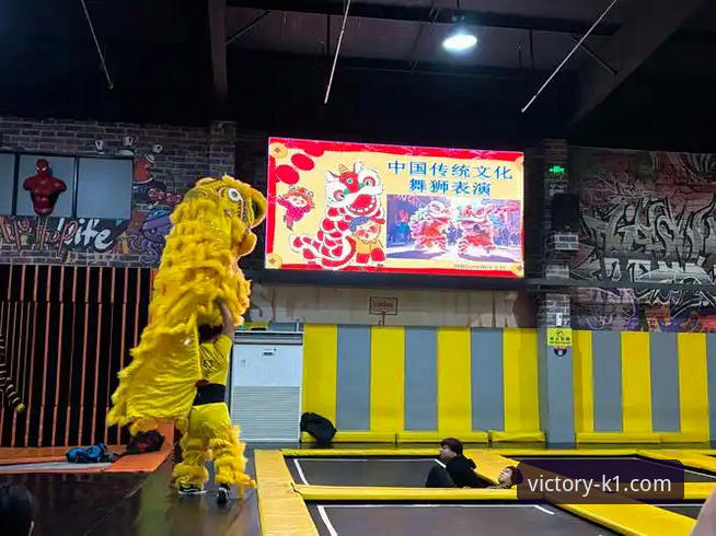 资深用户分享：在K1体育平台沉浸式体验“非洲雄狮”52年圆梦之旅